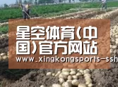 种植基地七(图1)