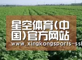 种植基地五(图1)