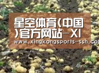 种植基地七