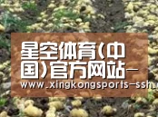 种植基地八(图1)