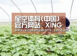 种植基地三