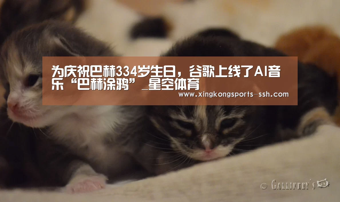 星空体育网址