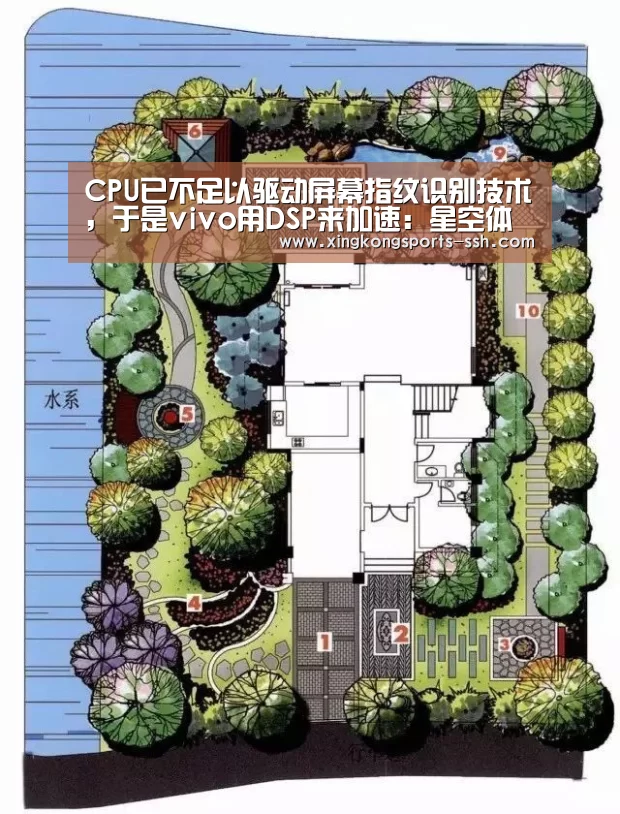 星空体育官网