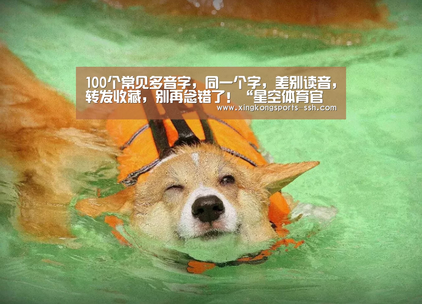 星空体育