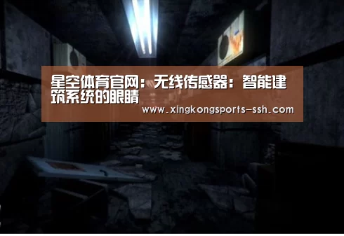 星空体育官网