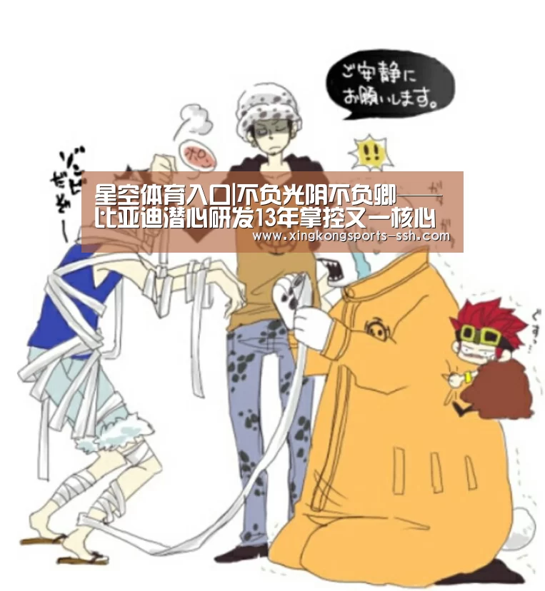 星空体育官网