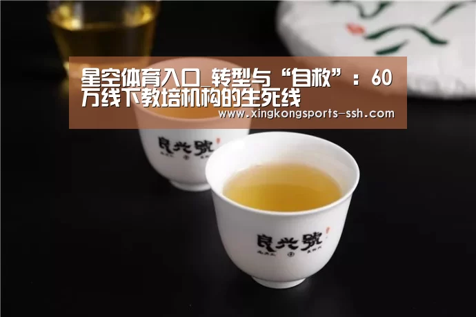 星空体育官网