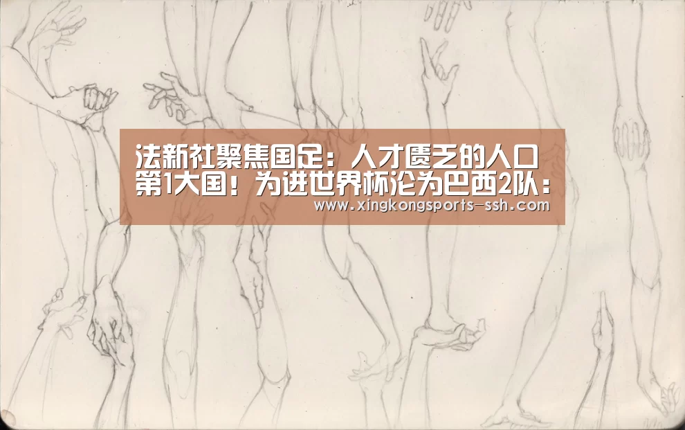 星空体育