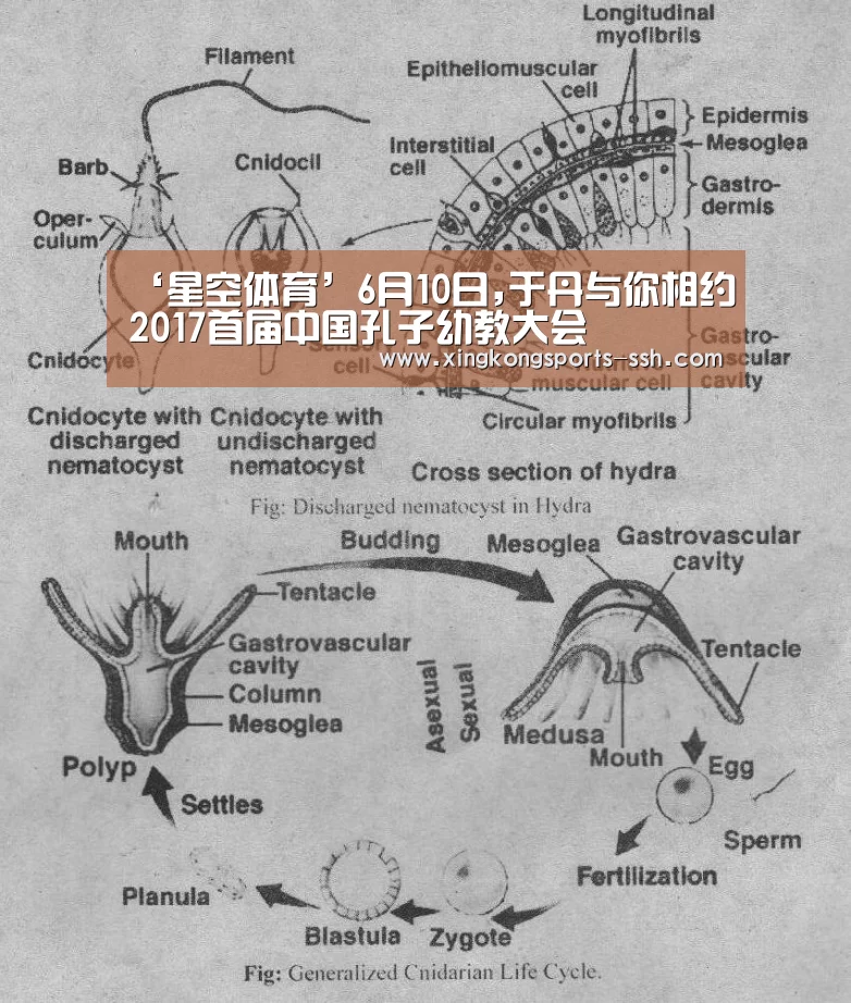 星空体育网址